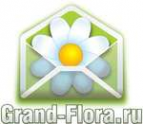 Логотип компании Доставка цветов Гранд Флора (ф-л г.Арамиль)